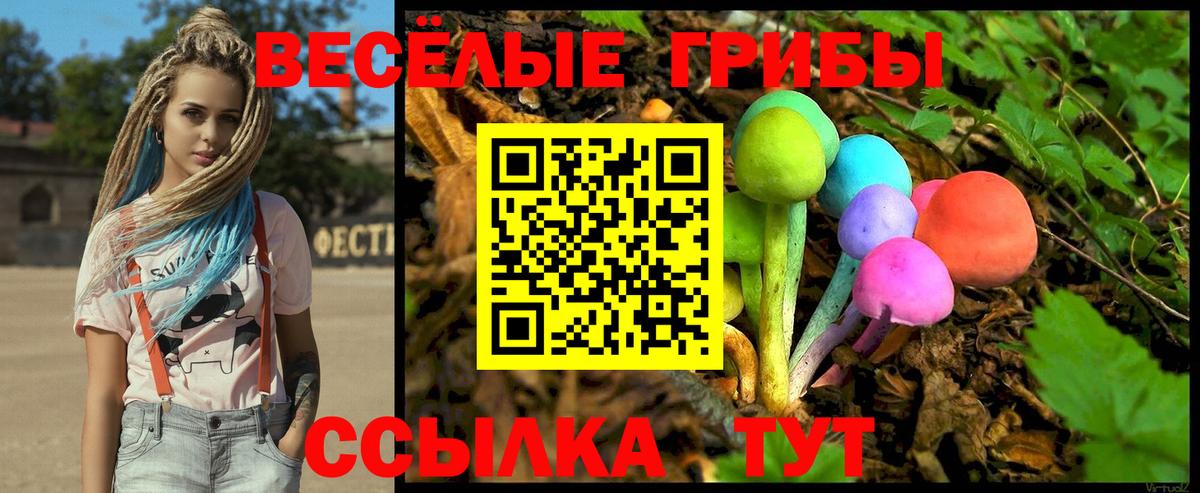 Галлюциногенные грибы MAGIC MUSHROOMS Черняховск